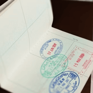 Renovação e mudança de status